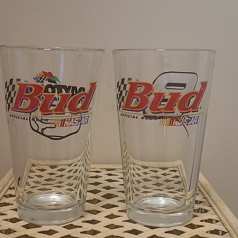 Dale Earnhardt Jr/ Daytona Bar Glasses